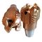 Steel Body PDC Drill Bit 122mm Drilling For Directional Drilling Clay Sandstone